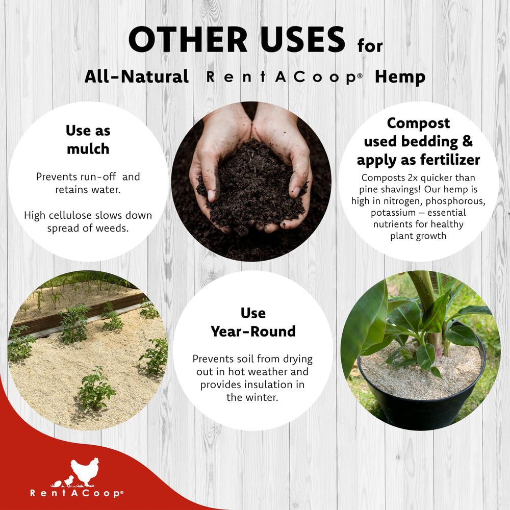 Rentacoop eco-friendly bedding highlights sustainable pet care.