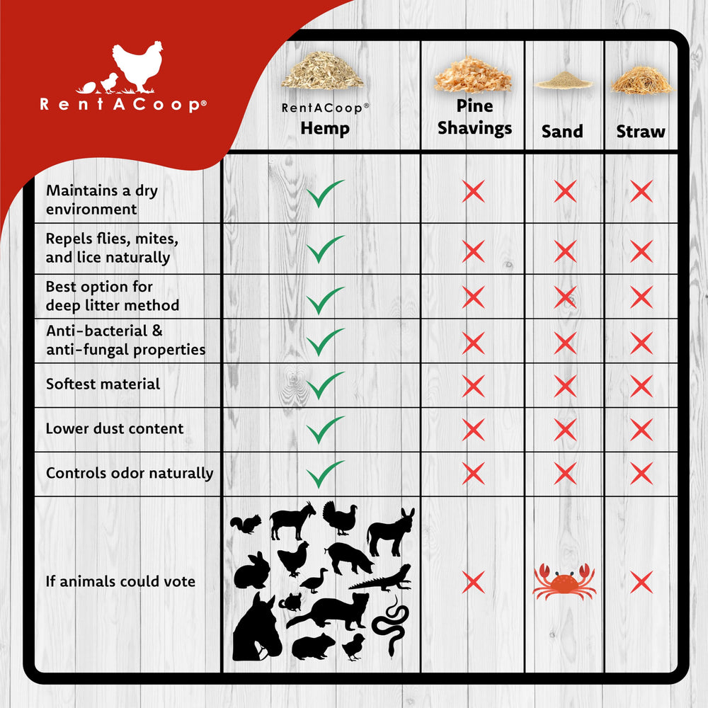 Rentacoop extra-soft rounded fibers provide gentle comfort for delicate feet.