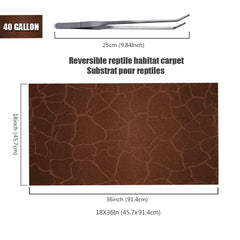 REP BUDDY reversible 2-pack offers two color options for variety.