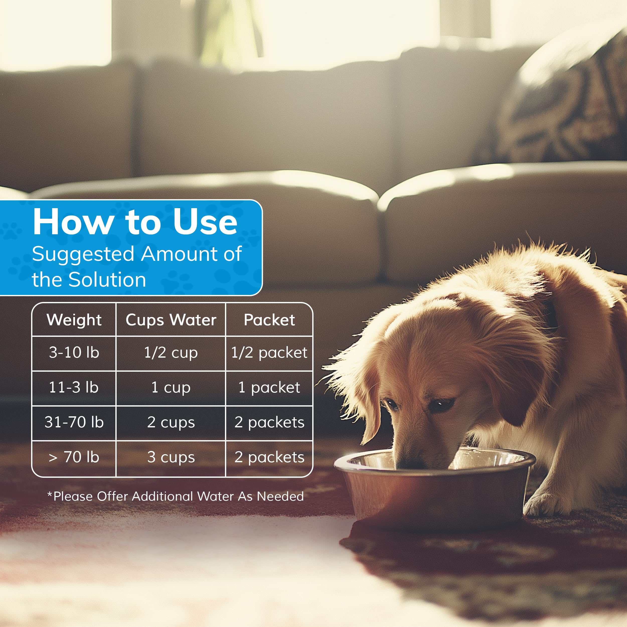 Replenish Dog Recovery Water Supplement ready-drink convenient hydration during training