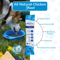Replenish Dog Recovery Water Supplement scoop-dispensing showing easy-to-mix electrolytes