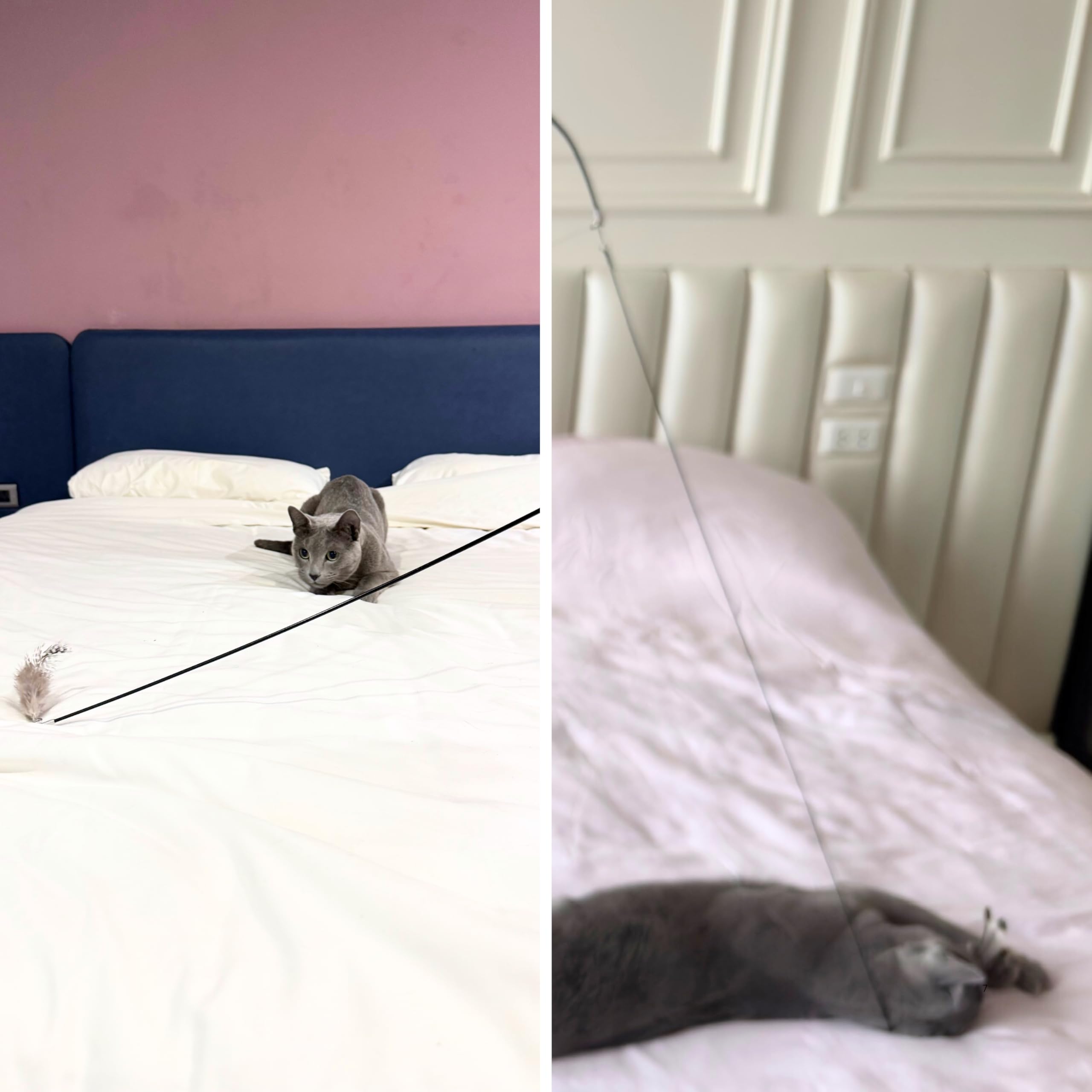 Repounce cat gift indoor play – inviting visuals for thoughtful indoor cat entertainment.