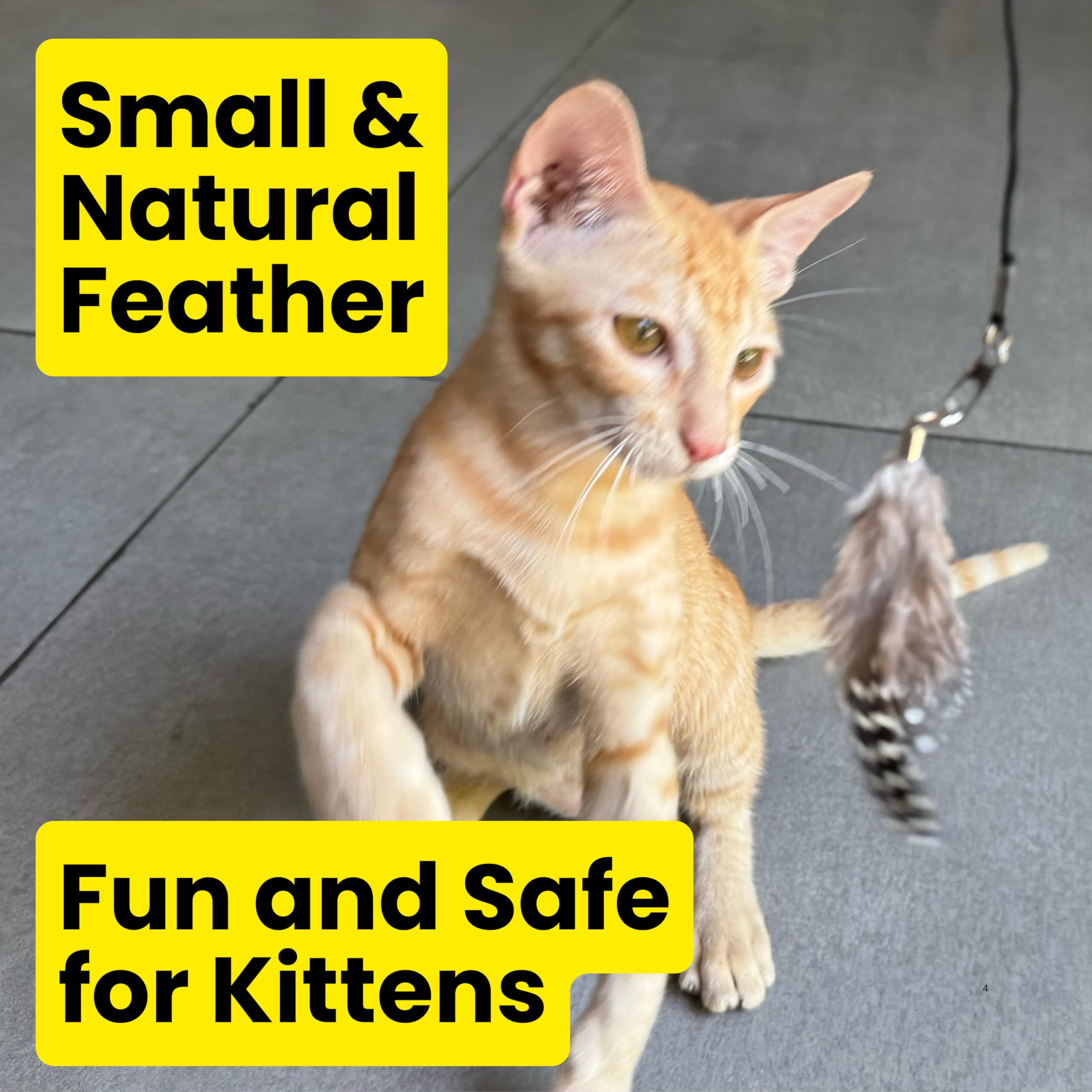Repounce extra-small feathers close-up – kitten-friendly size for safe chasing and play.