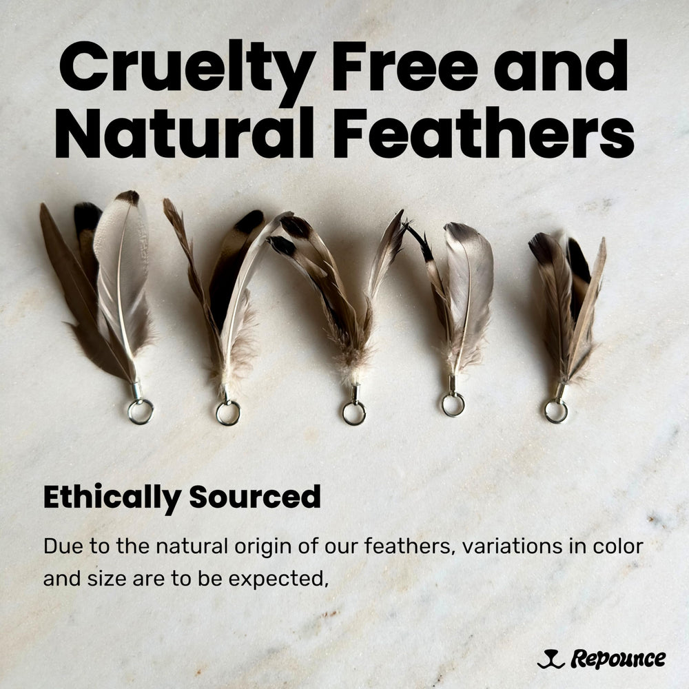 Repounce kitten playtime feathers – action shot showing active engagement and leaps.