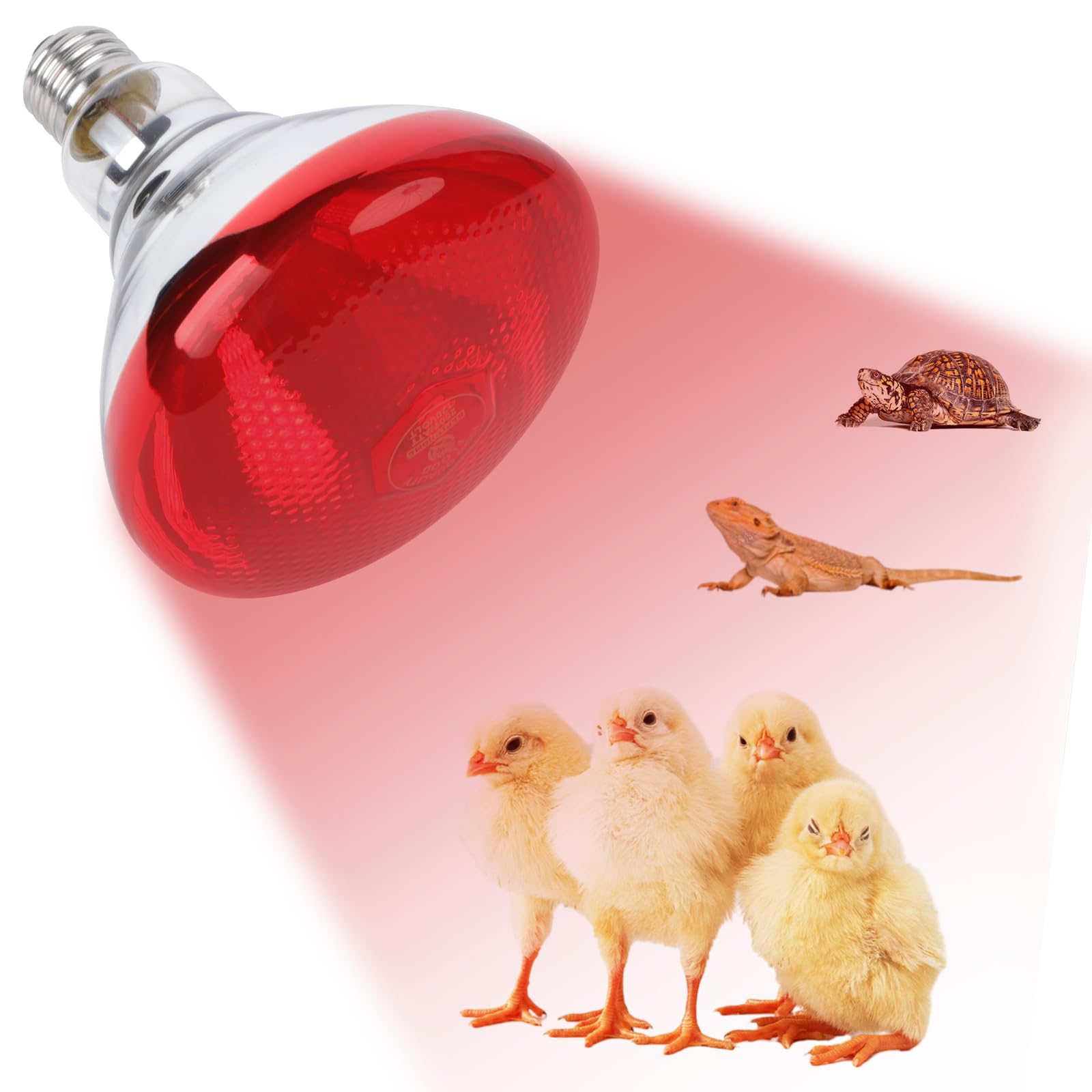 REPTI HOME 250W red heat lamp bulb in coop setup for warm chicken brooder