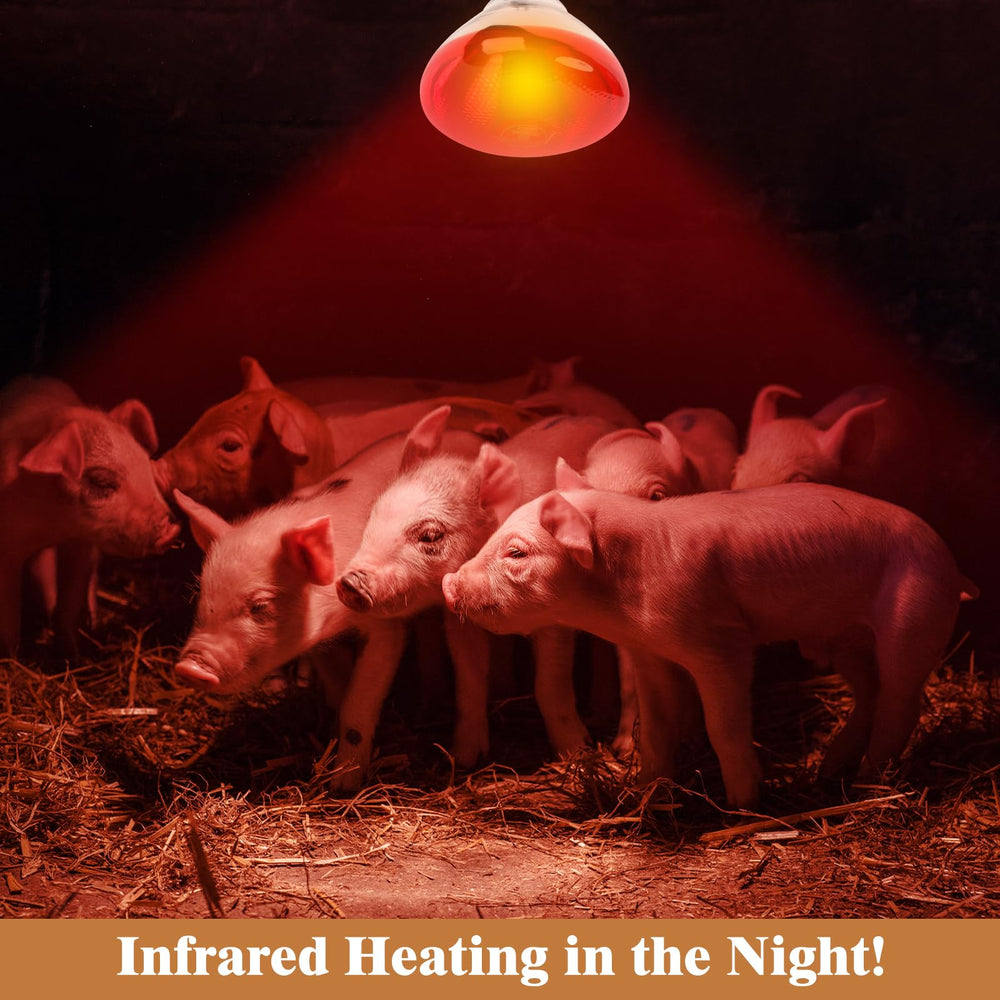 REPTI HOME 250W red heat lamp bulb for pets and reptiles providing reliable warmth