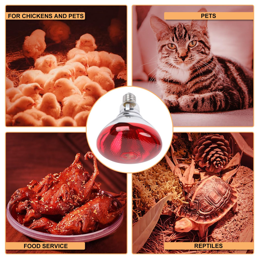REPTI HOME 250W red heat lamp bulb glass PAR38 base closeup showing durable construction