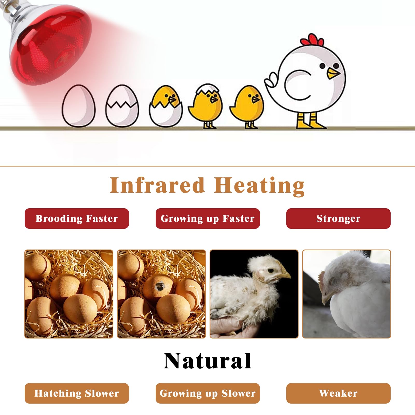 REPTI HOME 250W red heat lamp bulb soft red light aids pet relaxation and sleep