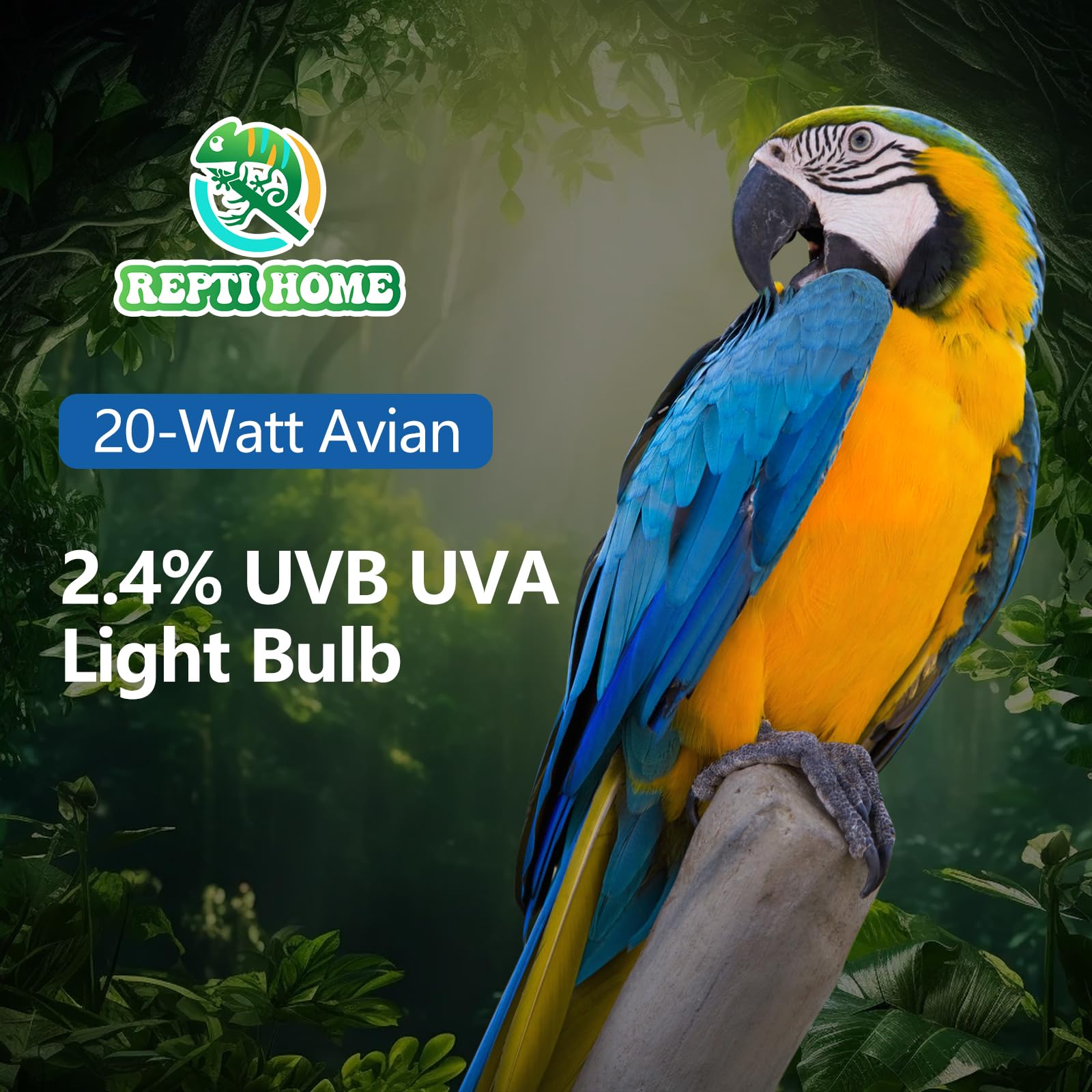 REPTI HOME UVB bulb illuminates captive birds during daytime, supporting healthy activity and feeding.