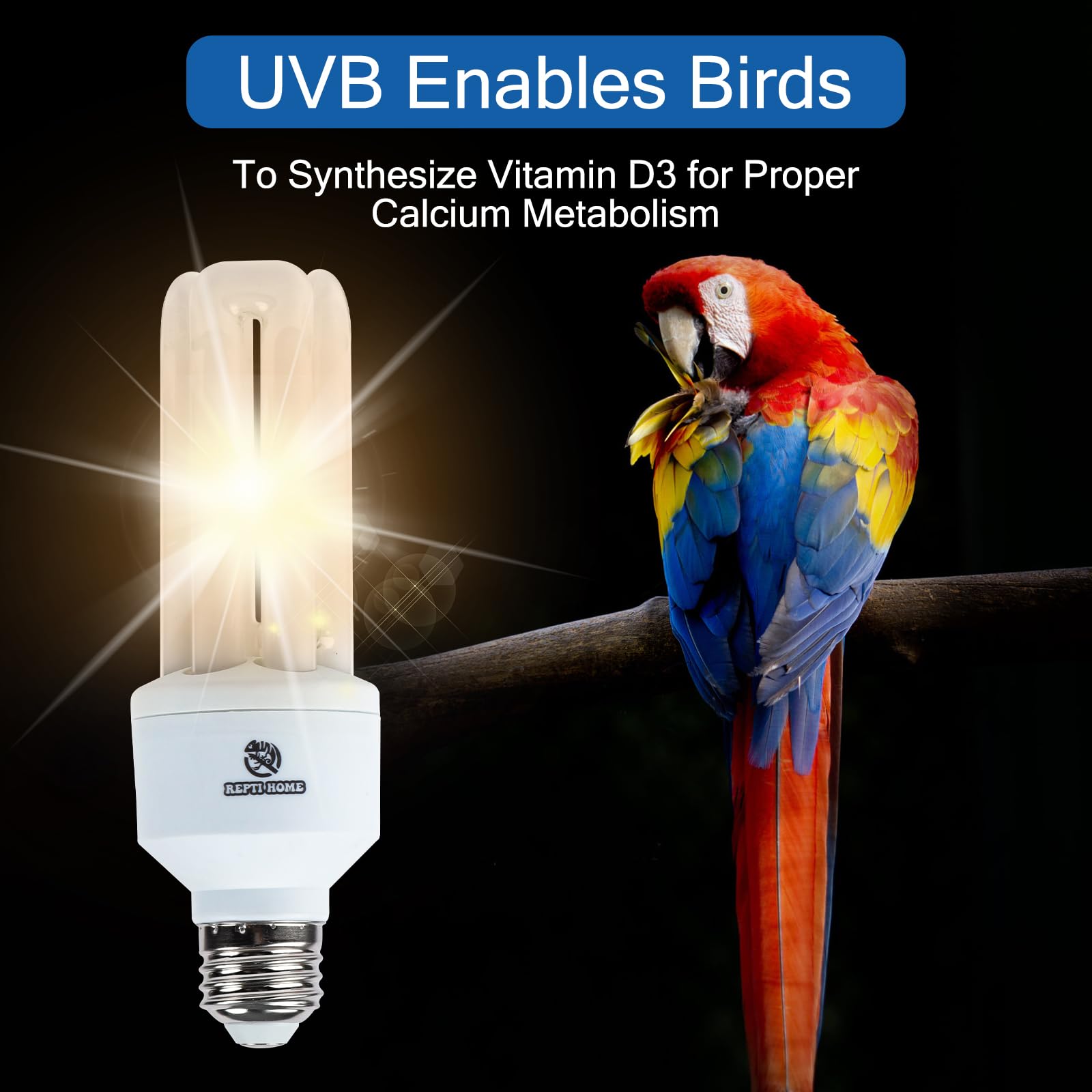 REPTI HOME bird light in enclosure angle view highlights natural behaviors and colors.