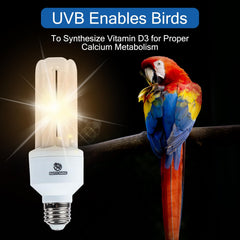 REPTI HOME bird light in enclosure angle view highlights natural behaviors and colors.