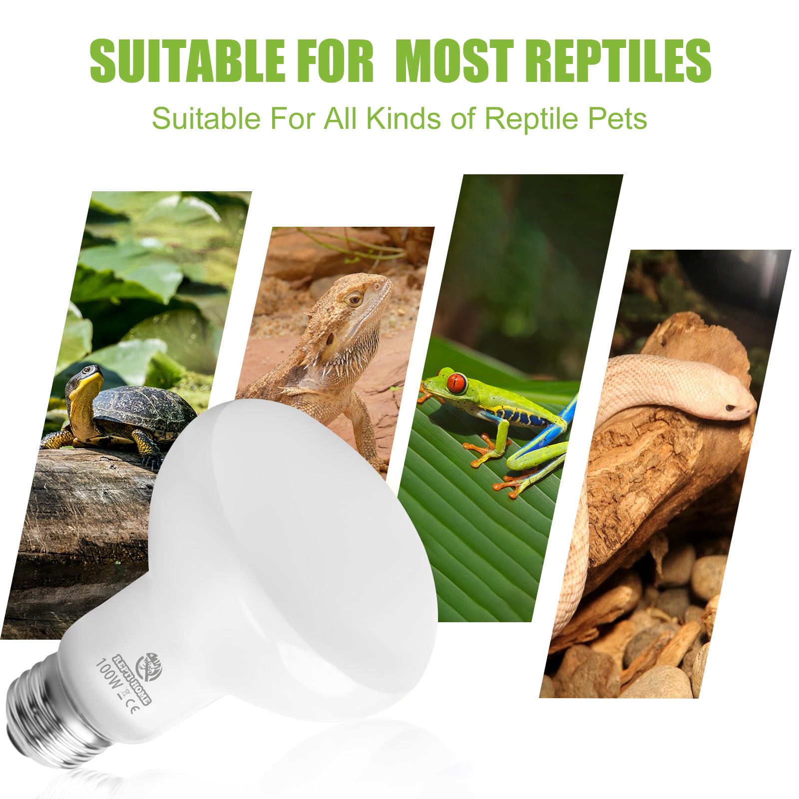 REPTI HOME compact bulb design highlighting durability and quick heat-up.