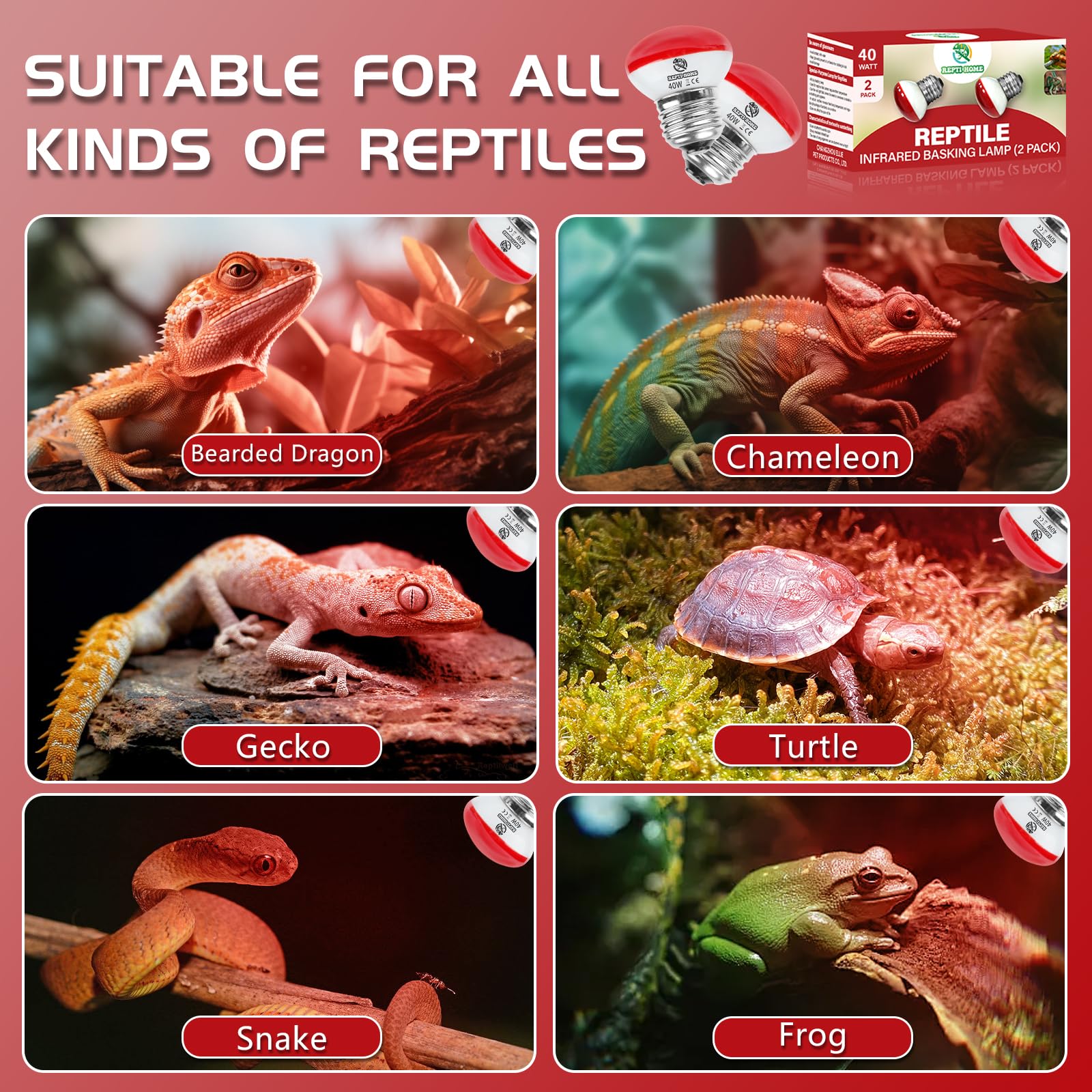 REPTI HOME energy-saving 40W bulb offers extended runtime in terrariums.