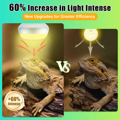 REPTI HOME flat-bottom heat lamp concentrates heat for faster terrarium warming.