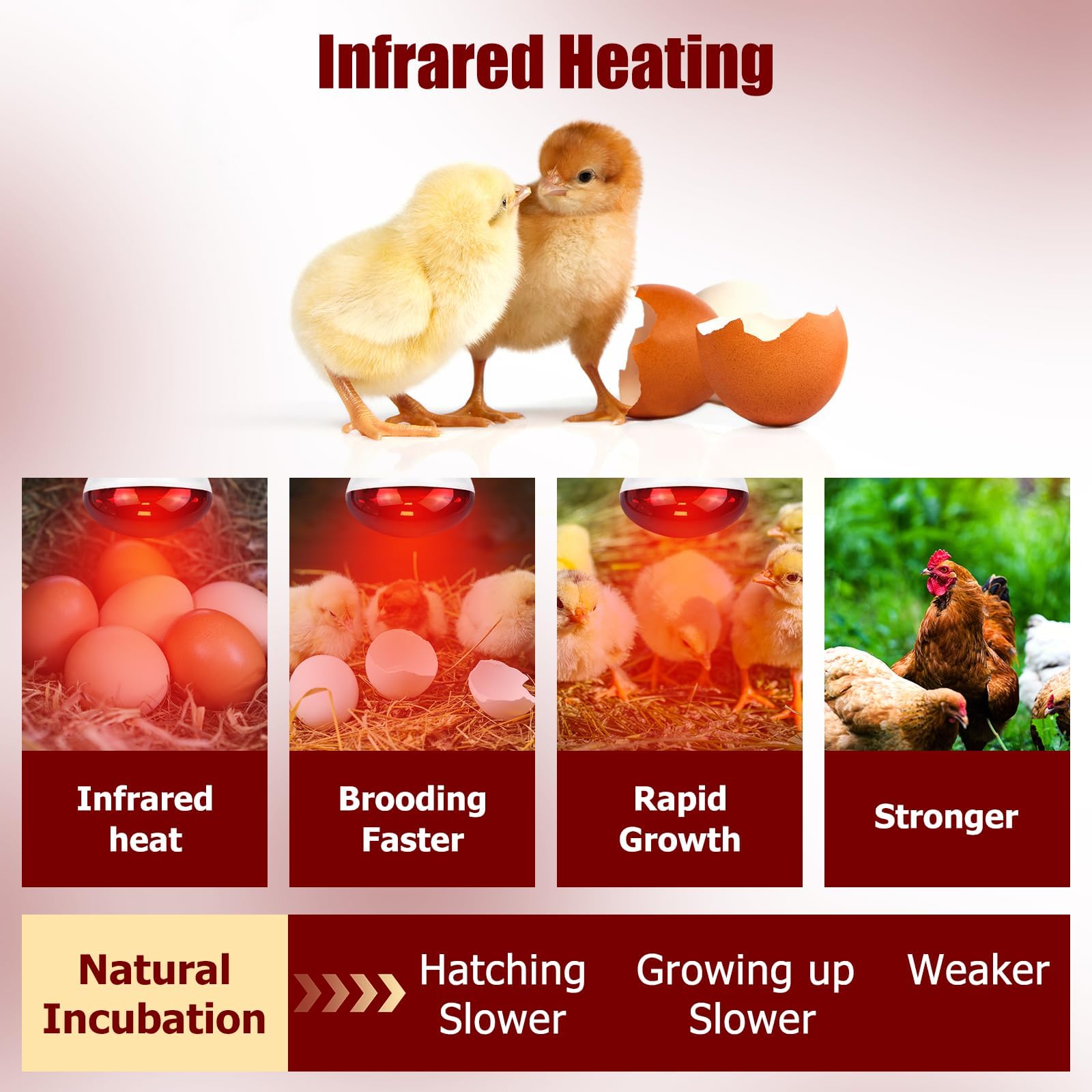 REPTI HOME heat lamp ideal for coop setup and reliable warmth.