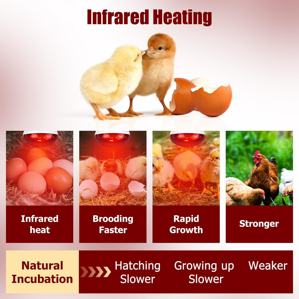 REPTI HOME heat lamp ideal for coop setup and reliable warmth.