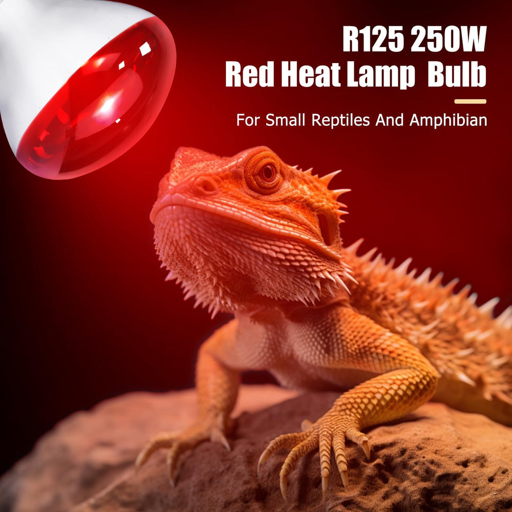 REPTI HOME heat lamp for food prep areas offering steady heat.