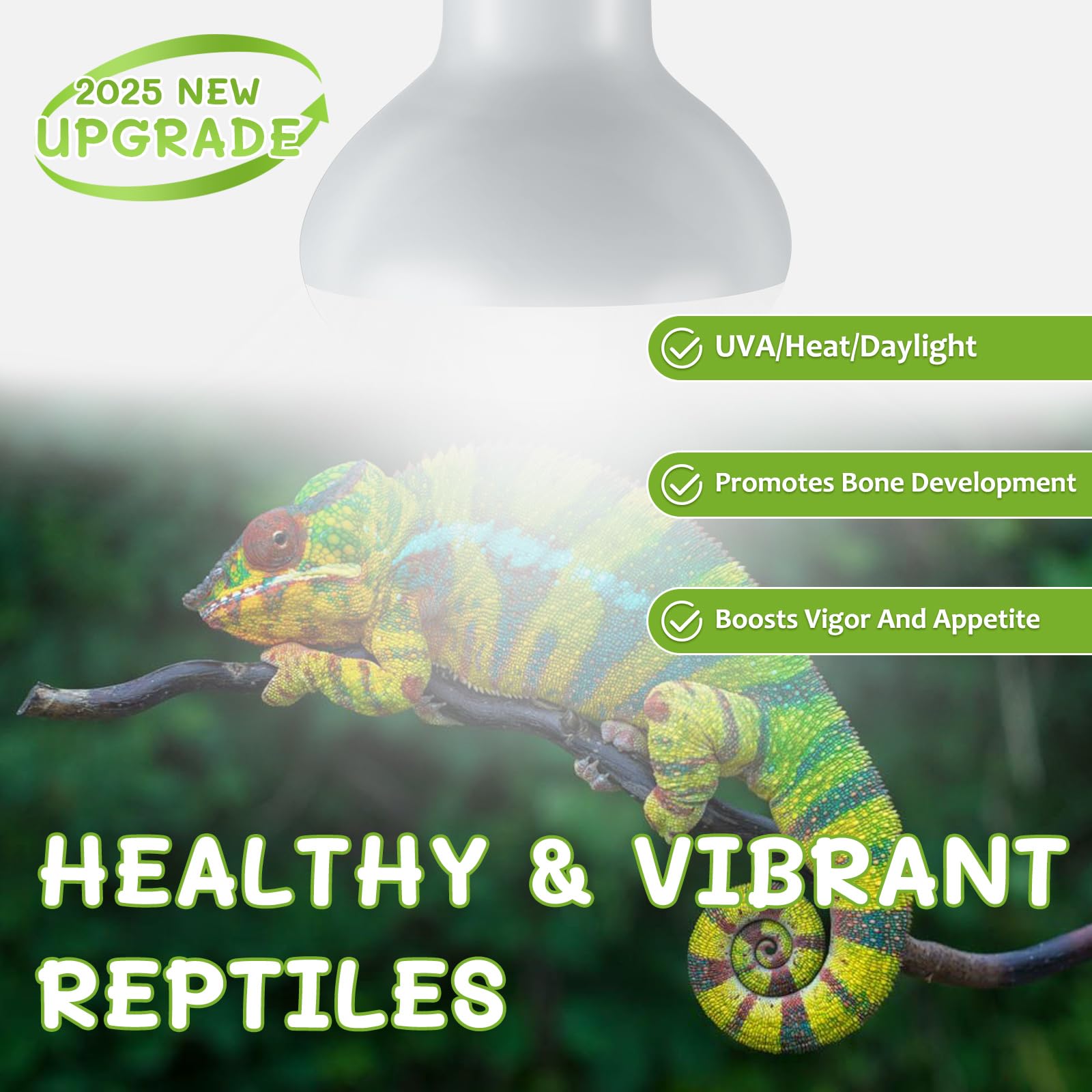 REPTI HOME heat lamp in-use on bearded dragon basking setup.
