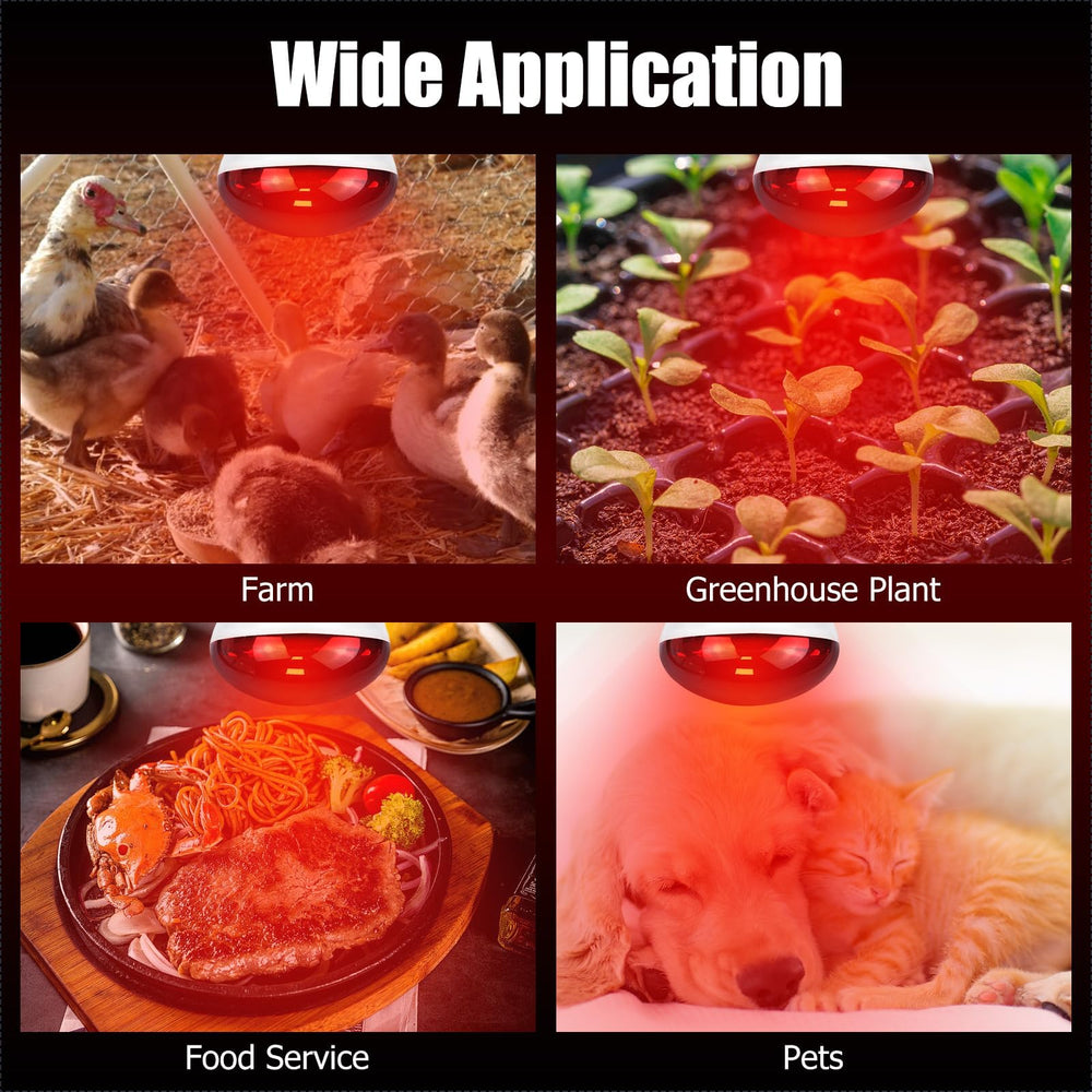 REPTI HOME heat lamp safety features for stress-free use.