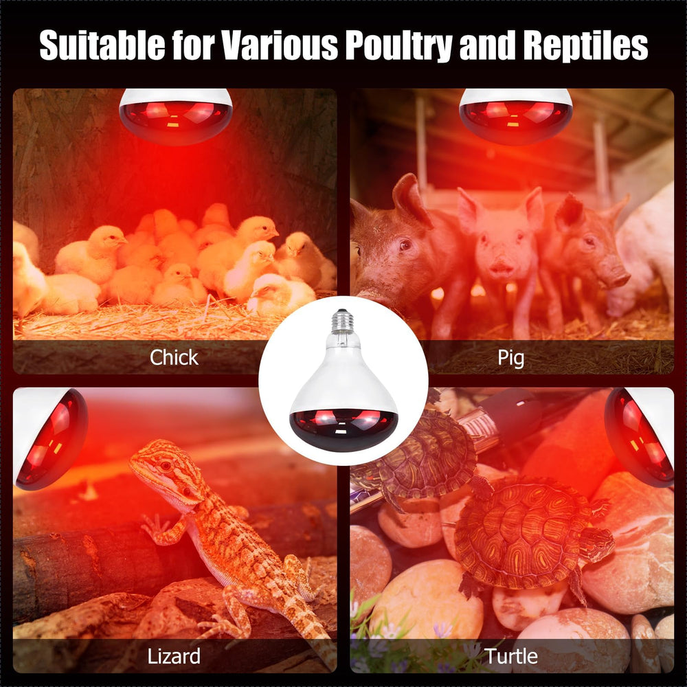 REPTI HOME infrared lamp delivers quick heat with efficiency.