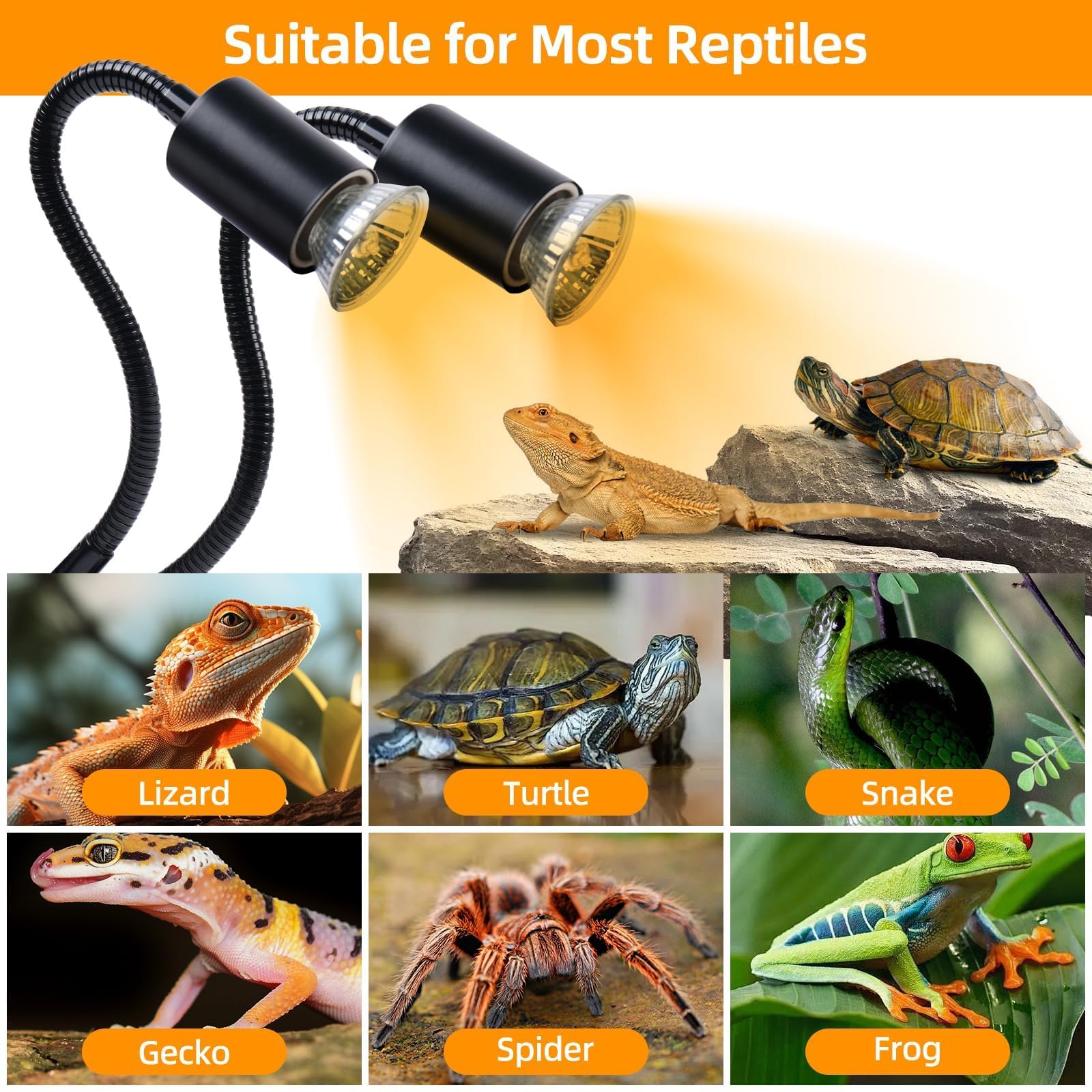 REPTI HOME packaging-contents-four-bulbs displays complete four-bulb kit for adults.