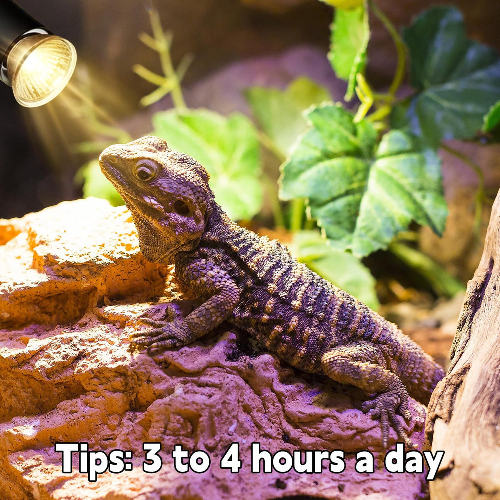 REPTI HOME safe-use reminder keeps enclosure heat safe and reptiles comfortable.