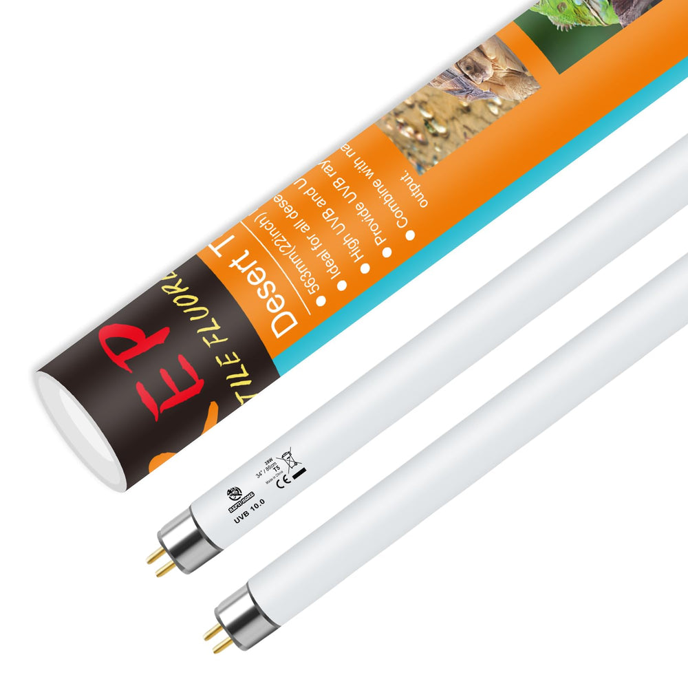 REPTI HOME T5 UVB light 24W beams for bearded dragon basking and healthy activity.