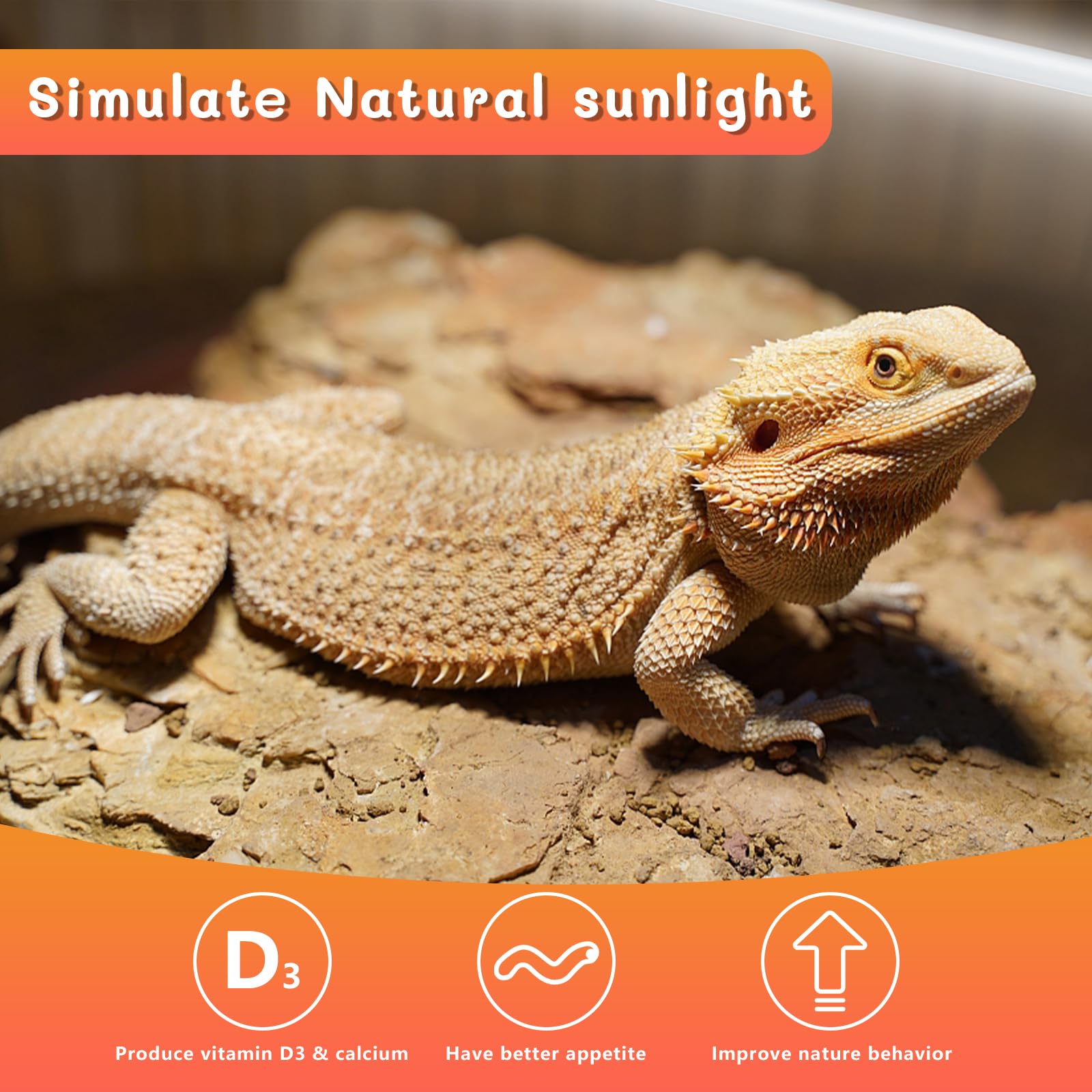 REPTI HOME T5 UVB light suitable for all reptiles and amphibians.