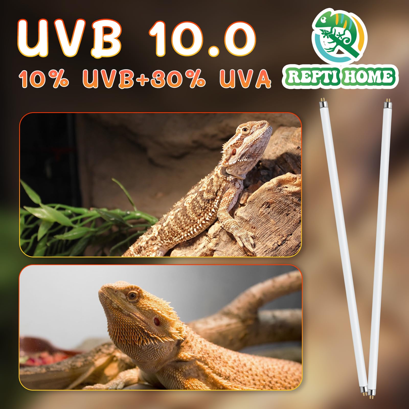 REPTI HOME T5 UVB light provides stable UVB and UVA output daily.