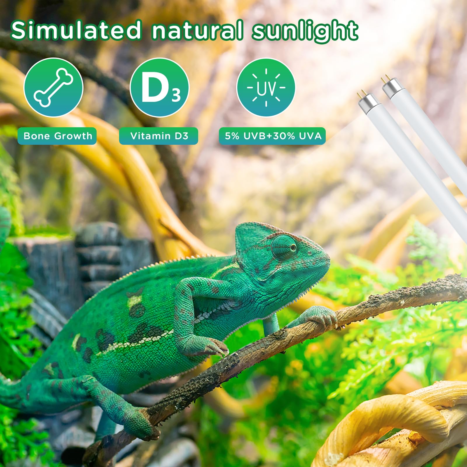 REPTI HOME UVB lamp delivers stable UVA output for daily reptile routines.