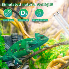 REPTI HOME UVB lamp delivers stable UVA output for daily reptile routines.