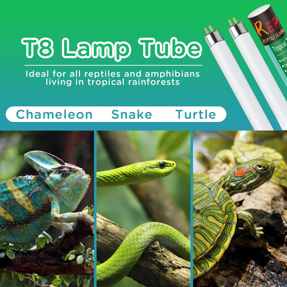 REPTI HOME 5.0 UVB lamp for tropical reptiles with safe, stable output.
