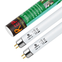 REPTI HOME T8 UVB light for bearded dragon setup provides simulated sunlight.