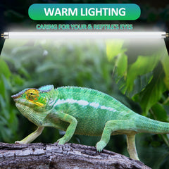 REPTI HOME 2-pack UVB lamp in desert enclosure ensures wider coverage.