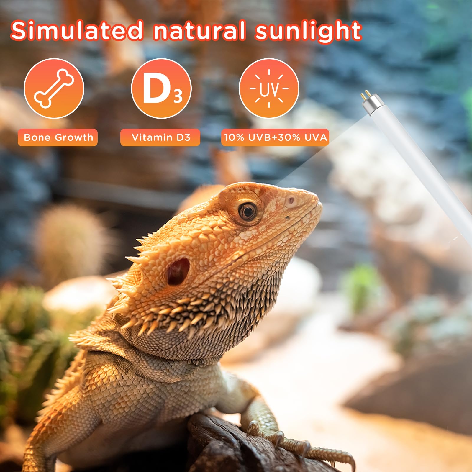 REPTI HOME T8 UVB light for snakes supporting activity and appetite with sun-mimicking rays.