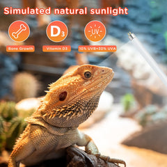 REPTI HOME T8 UVB light for snakes supporting activity and appetite with sun-mimicking rays.