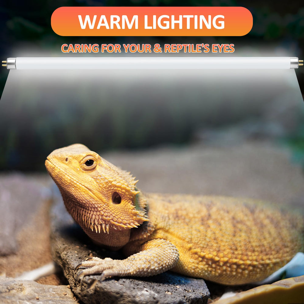 REPTI HOME T8 UVB light positioned over a tortoise for broad coverage in the terrarium.