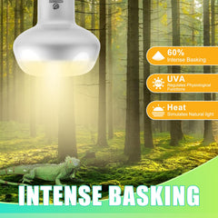 REPTI HOME UVA light simulates natural daylight for healthier reptile activity.