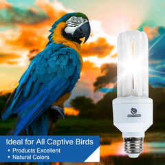 REPTI HOME 2.4 UVB compact fluorescent glow ensures safe vitamin D synthesis for birds.