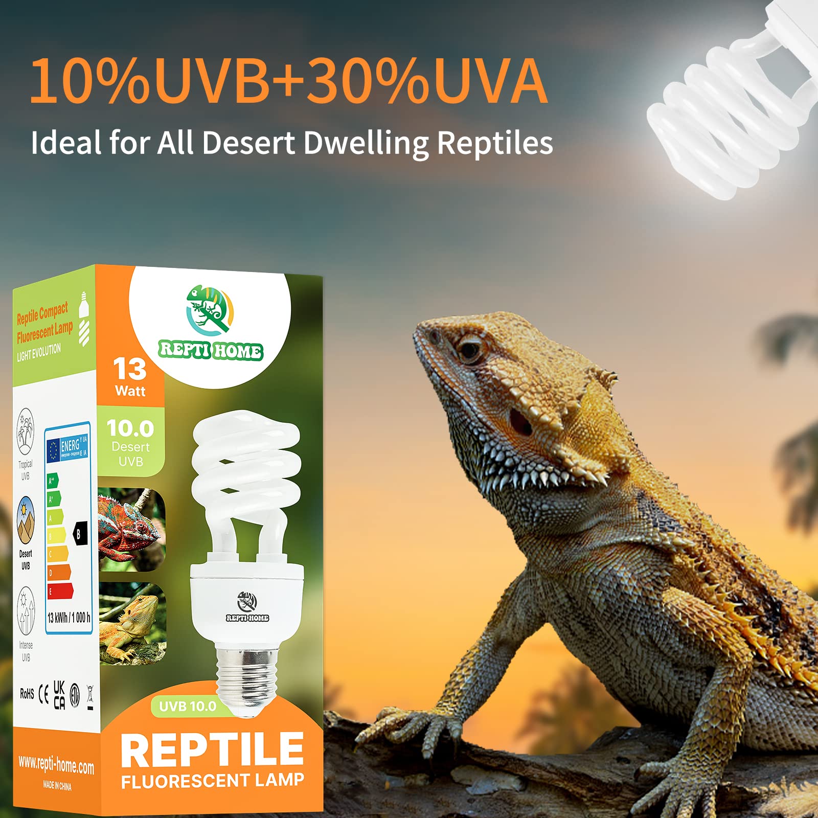 REPTI HOME UVB lighting in gecko terrarium highlighting dry terrain.