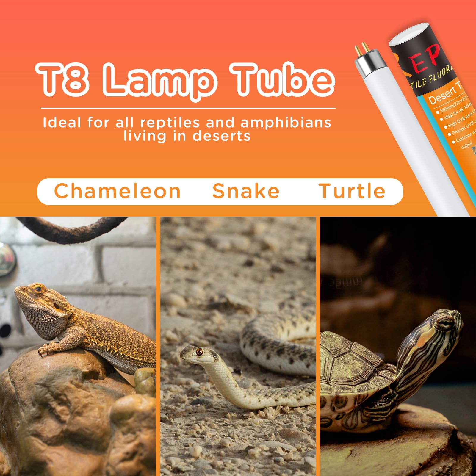 REPTI HOME UVB T8 fluorescent lamp highlighting broad-spectrum light for tropical reptiles.