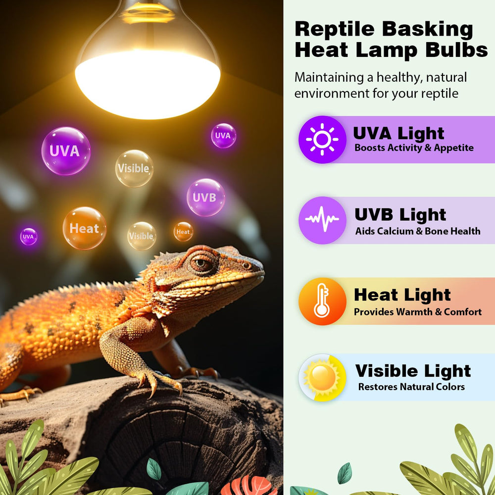 REPTI MATE 2Pack full-spectrum UVB UVA light for natural reptile health.