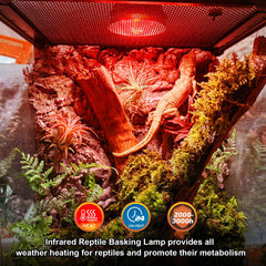 REPTI MATE infrared heat bulb close-up shows standard E26 socket compatibility