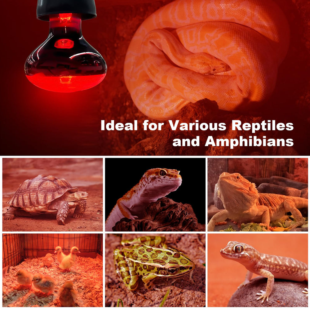 REPTI MATE 2Pack supports heating reptiles to chickens in varied setups