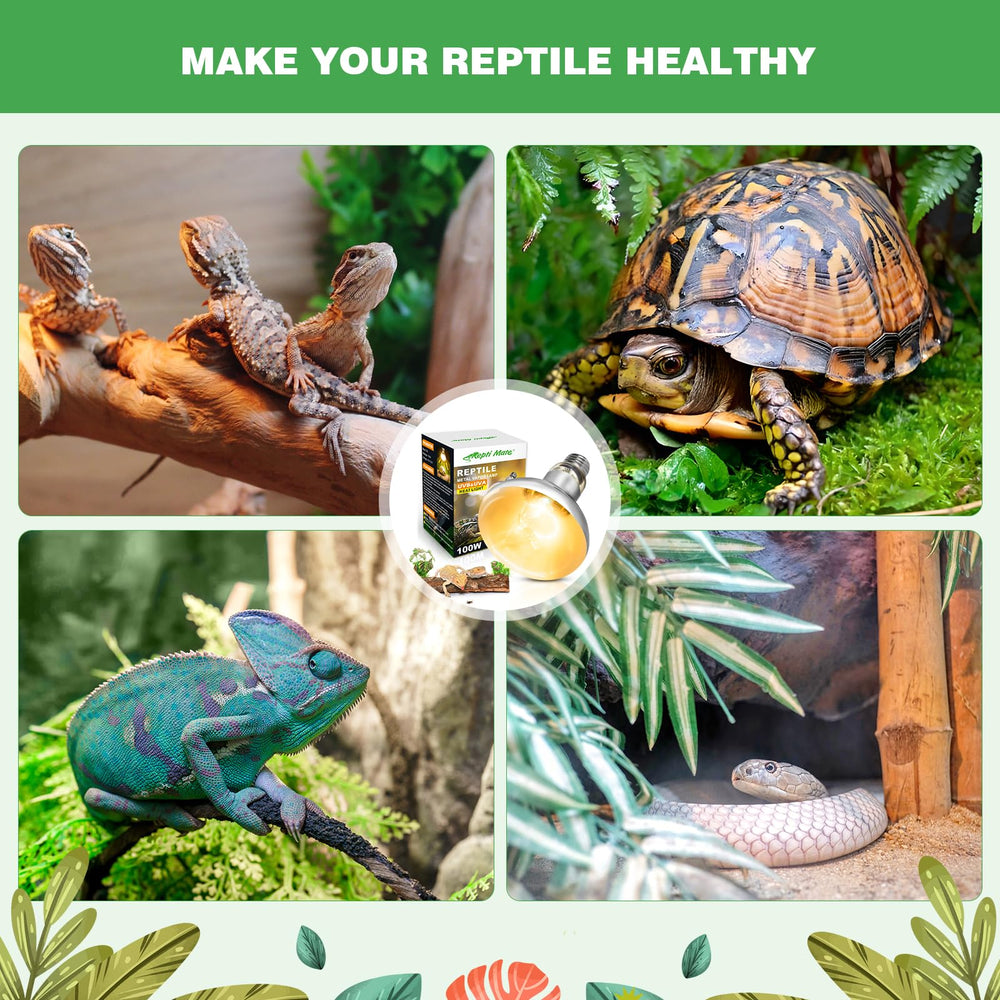 REPTI MATE gecko chameleon reptile light enhances daytime visibility and activity.