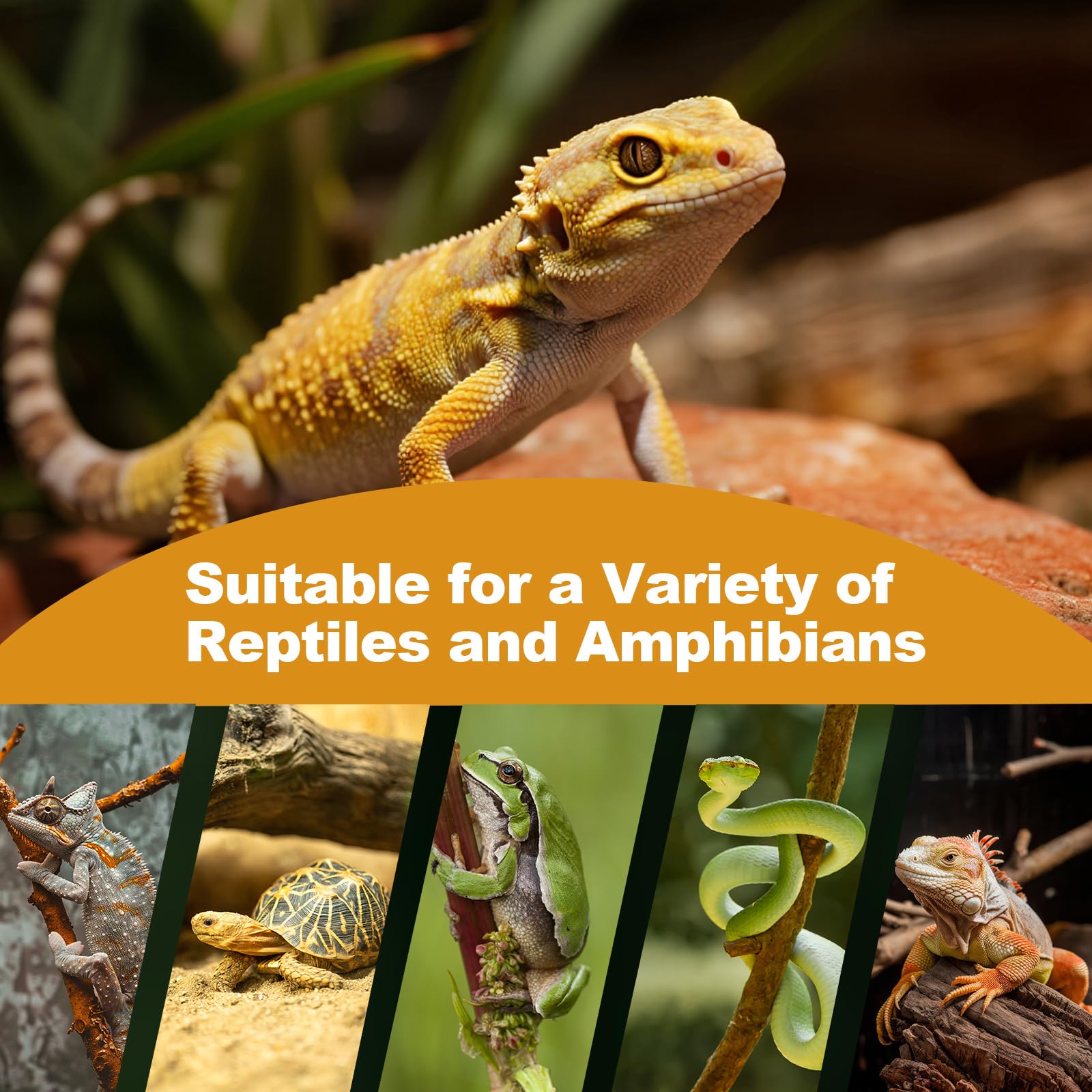 REPTI MATE long-lasting 3000-5000 hour lifespan supports daily reptile warmth.