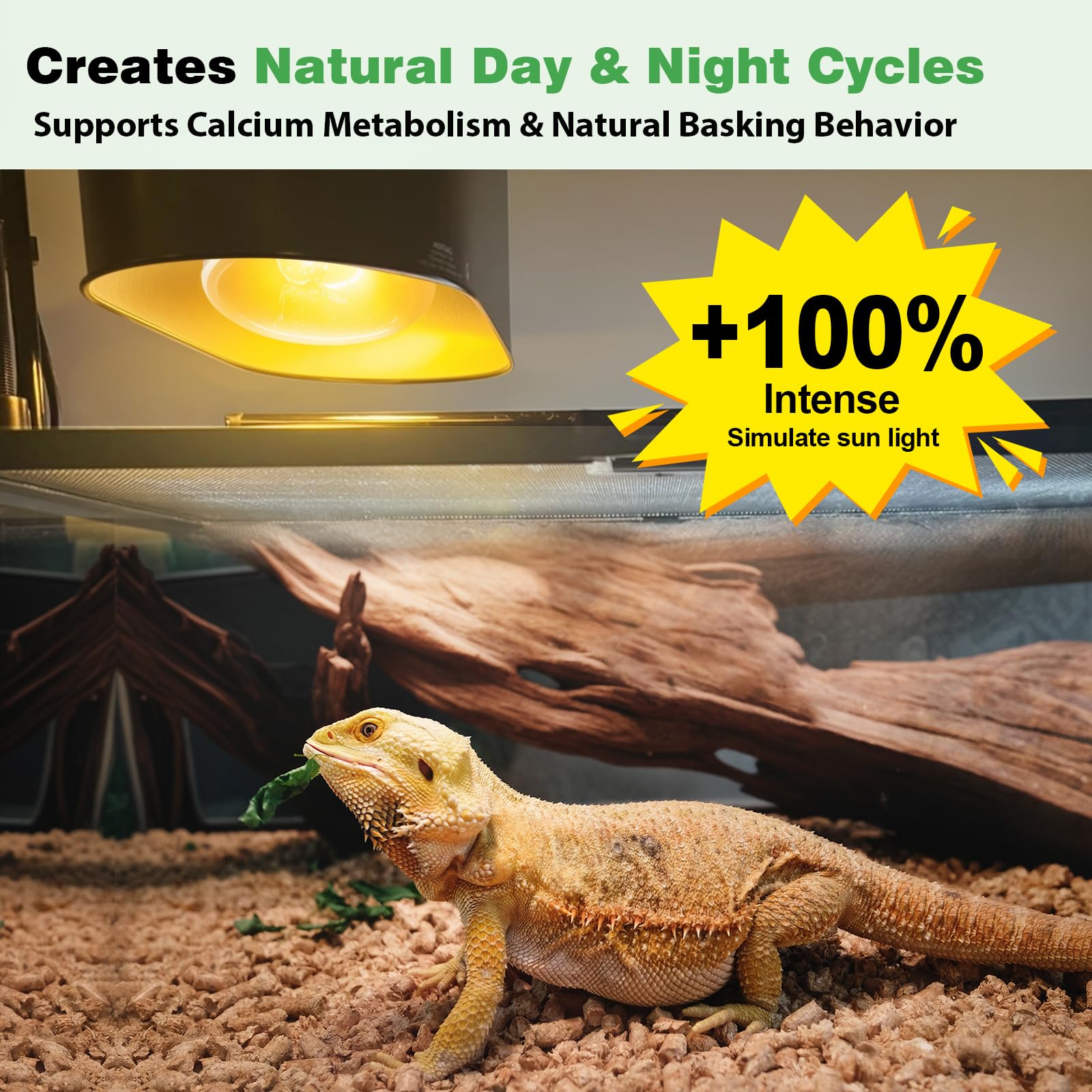 REPTI MATE reptile basking spot light provides consistent warmth for active reptiles.
