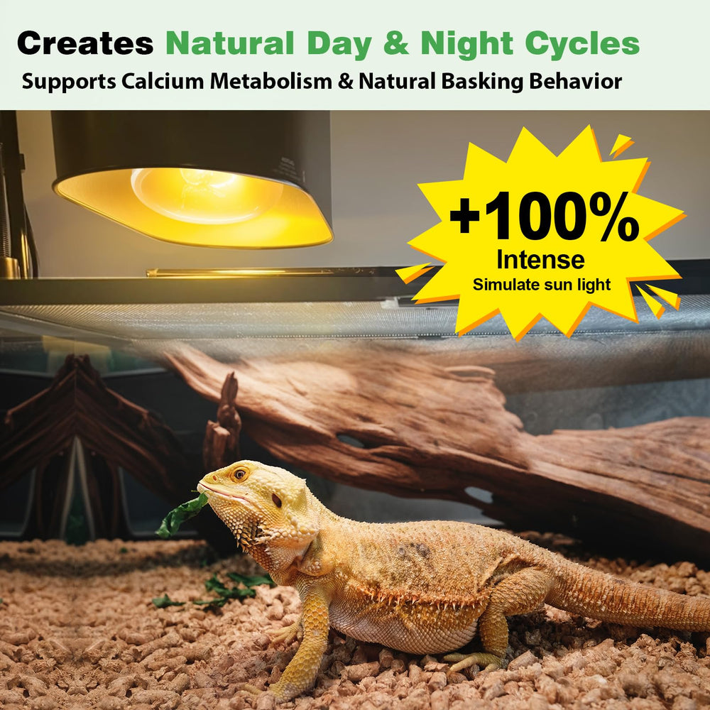REPTI MATE reptile basking spot light provides consistent warmth for active reptiles.