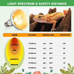 REPTI MATE UVB light glow in terrarium for natural daylight simulation.
