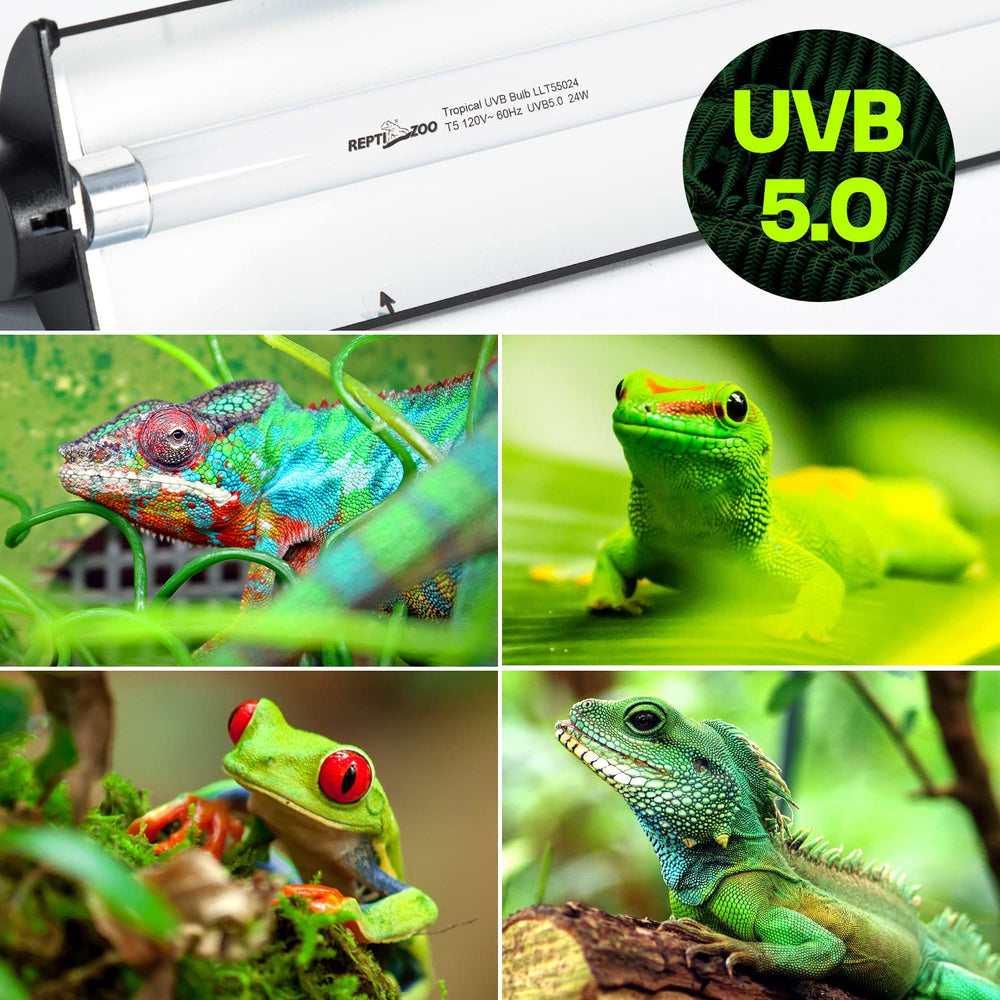 REPTI ZOO curved-reflector highlights UVB distribution for healthier reptile lighting.